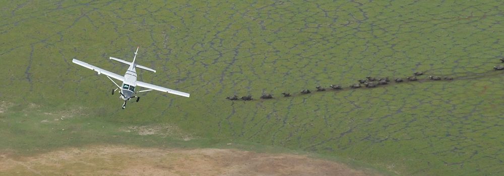 WINGS OVER AFRICA UAS - Main Tour Image (Scenic Air Safari)