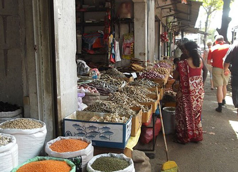 tastes of sri lanka