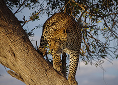 tanzania zanzibar