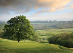 uk golf dale hill