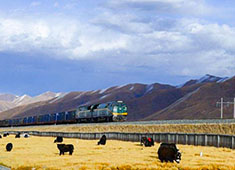 tibet china qingzang railway holiday