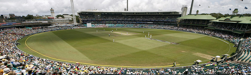 cricket