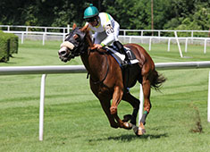 horse racing sports events