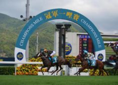 horse racing sports tours