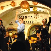 andalucia-cct-image-2-flamenco-show-granada