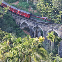 sri-lanka-spice-island-train-on-route