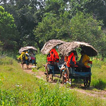 sri-lanka-spice-island-village-tour