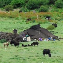 TIBET RAIL HOLIDAY - Tibetan Nomads