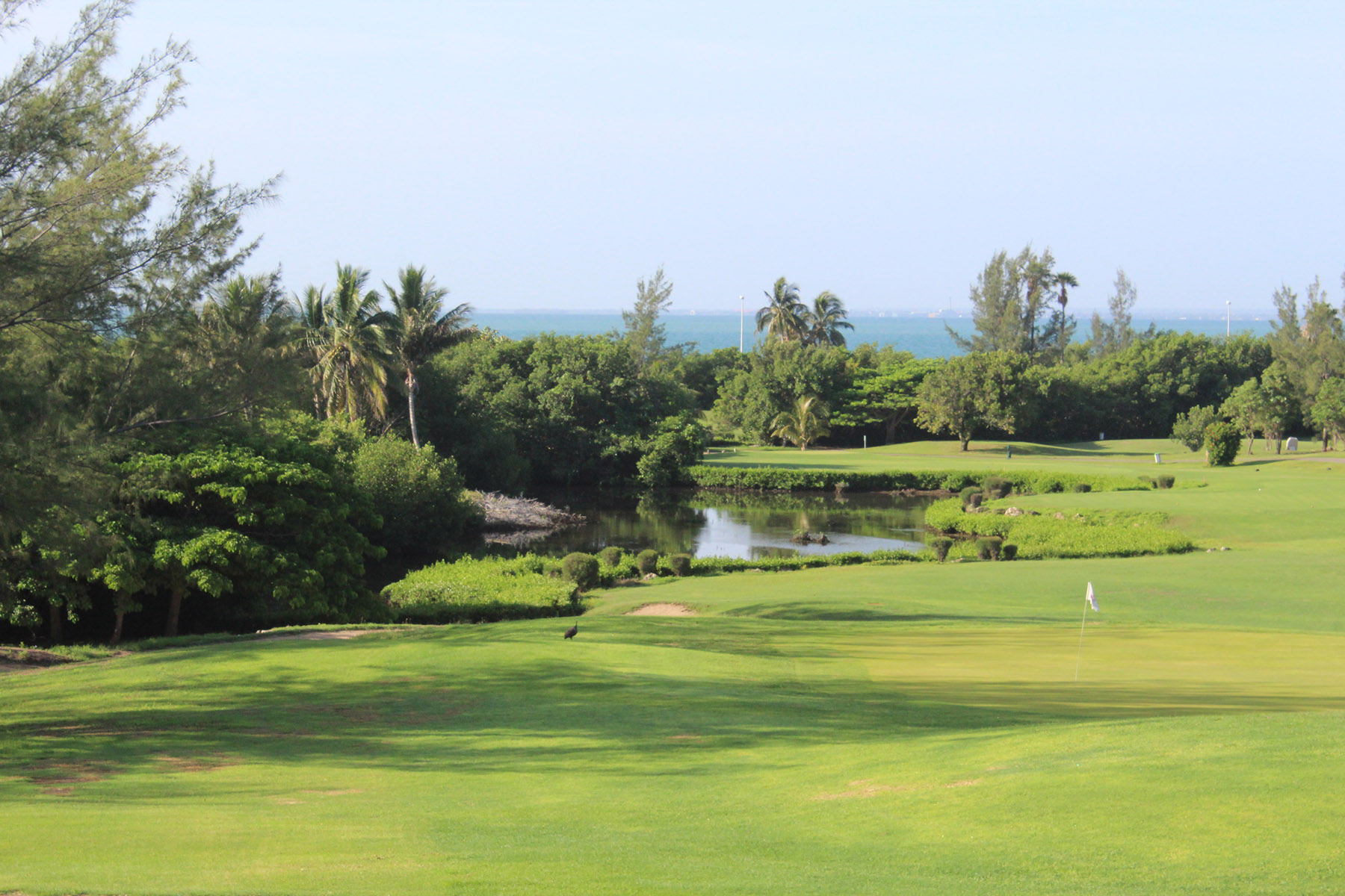 tropical golf holiday packages