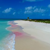 ANTIGUA & BARBUDA - Barbuda 2 (Beach Jelly Tree)