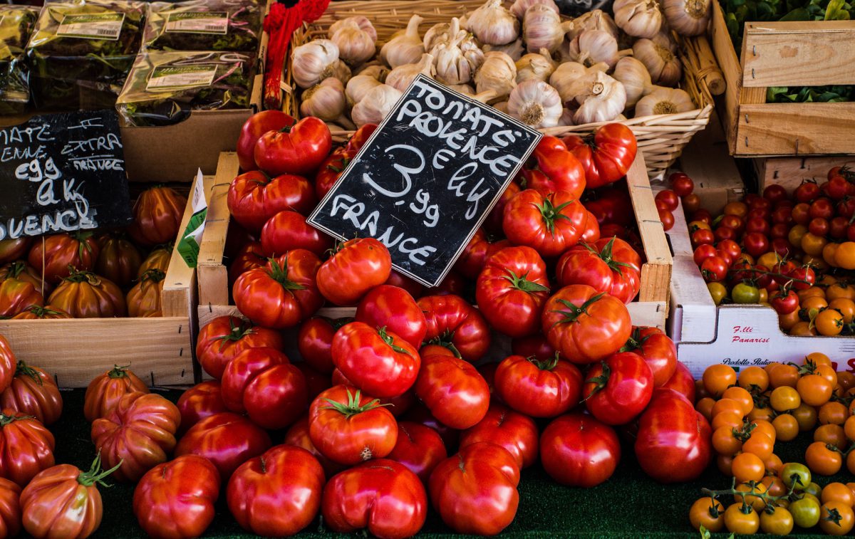 a taste of the dordogne